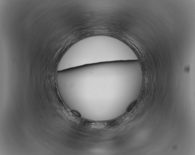 X0000095540373200712141029