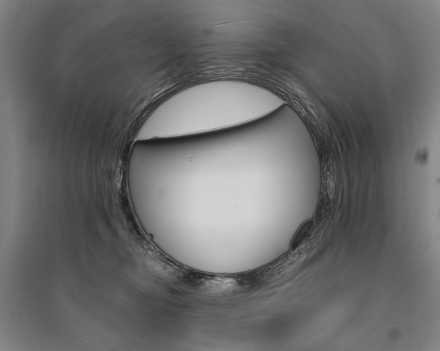 X0000095540374200712141029