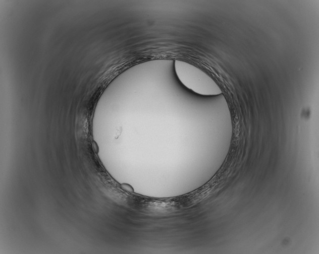 X0000095540375200712141029