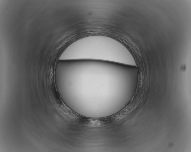 X0000095540376200712141029