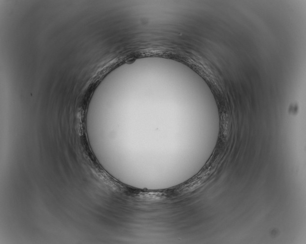 X0000095540378200712141029