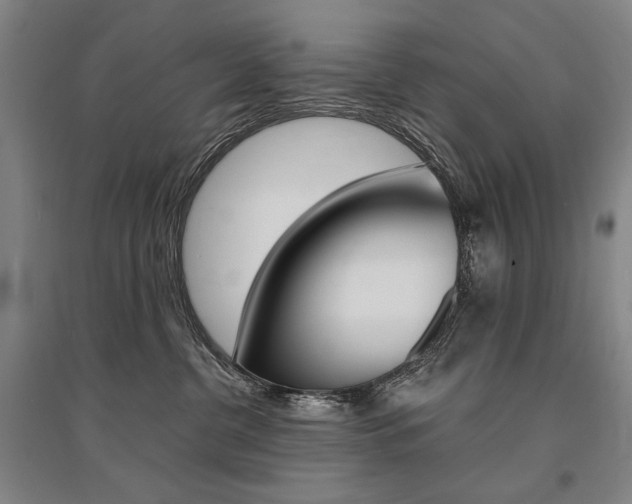 X0000095540380200712141029