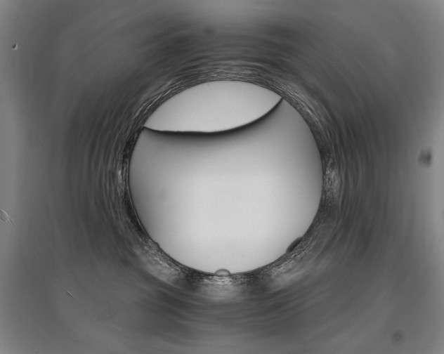 X0000095540381200712141029