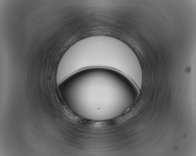 X0000095540382200712141029