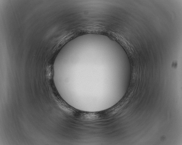 X0000095540383200712141029