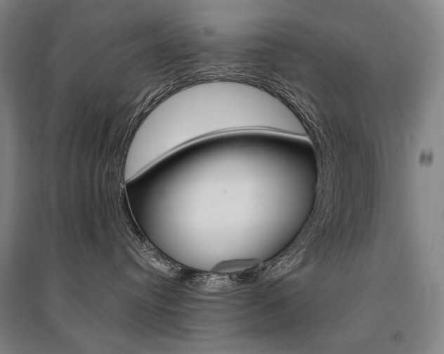 X0000095540384200712141029