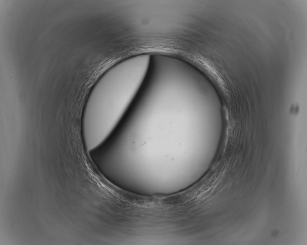 X0000095540385200712141028