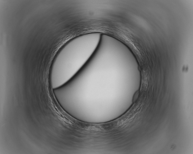 X0000095540386200712141028