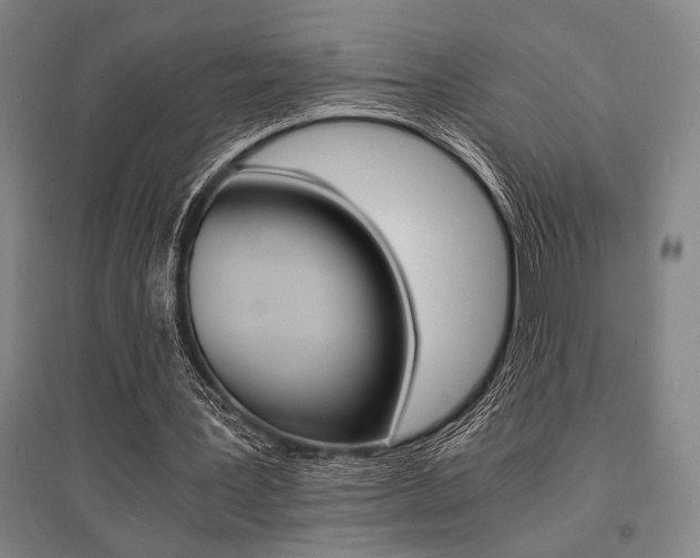 X0000095540387200712141028