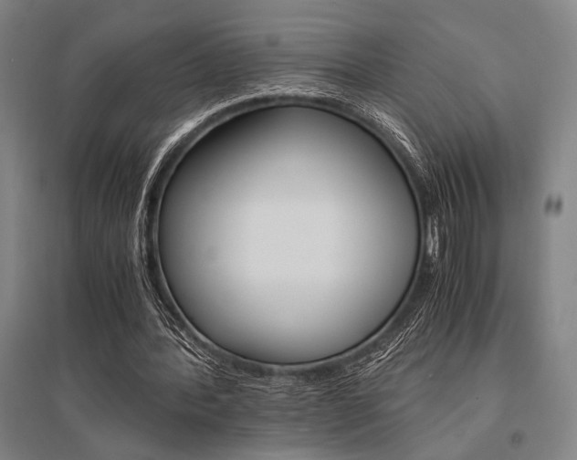 X0000095540388200712141028