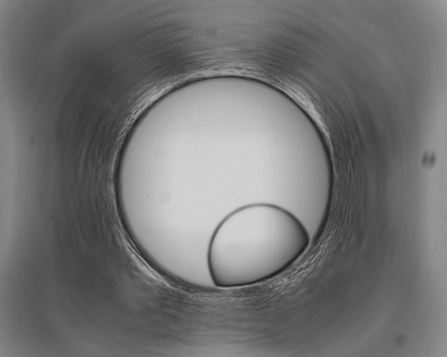 X0000095540389200712141028