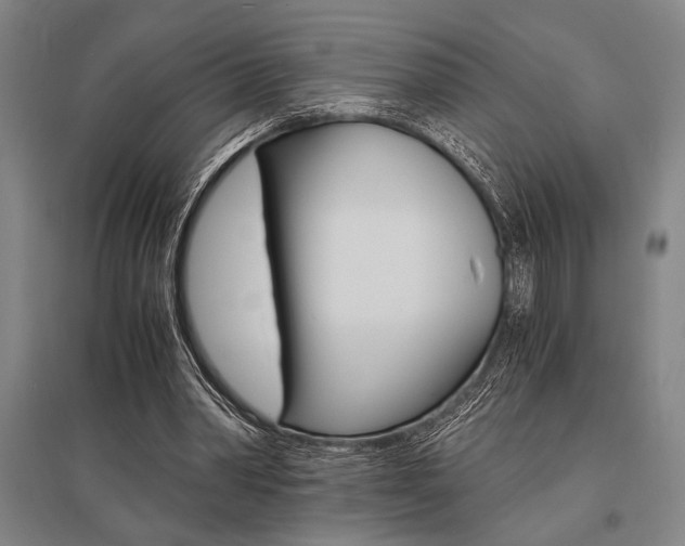 X0000095540390200712141028