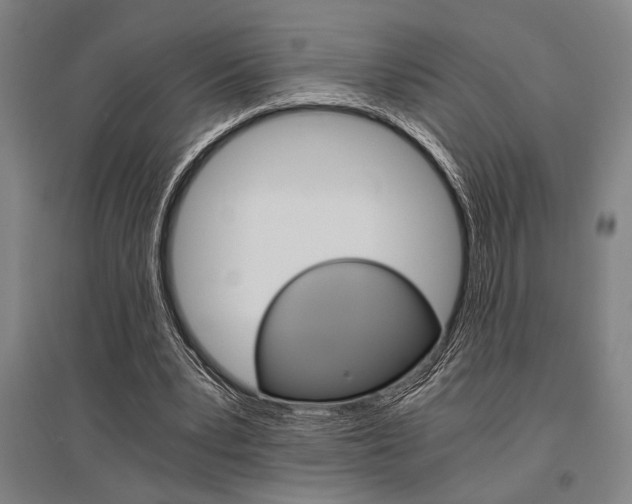 X0000095540391200712141028
