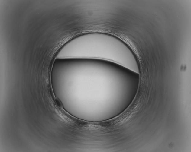 X0000095540393200712141028