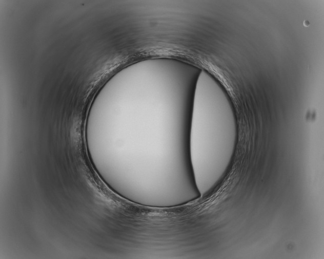 X0000095540394200712141028
