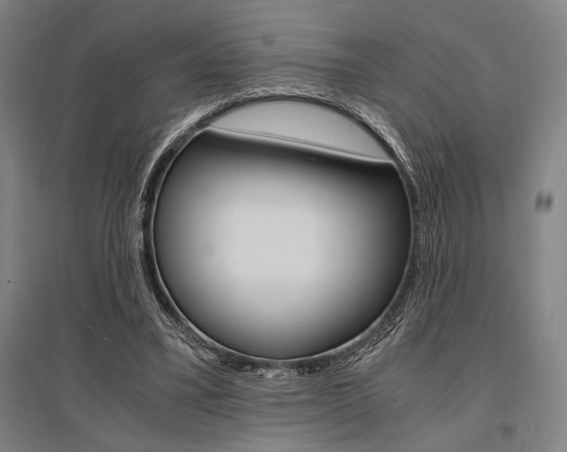 X0000095540395200712141028
