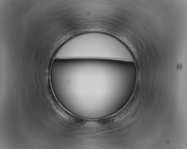 X0000095540397200712141028