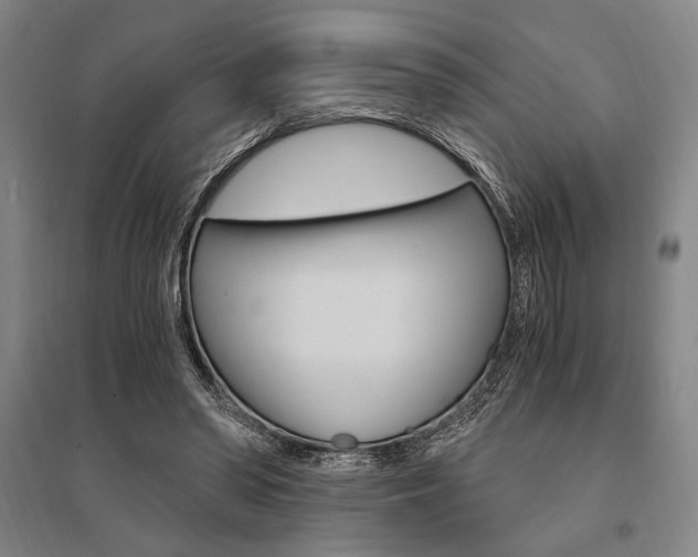 X0000095540398200712141028