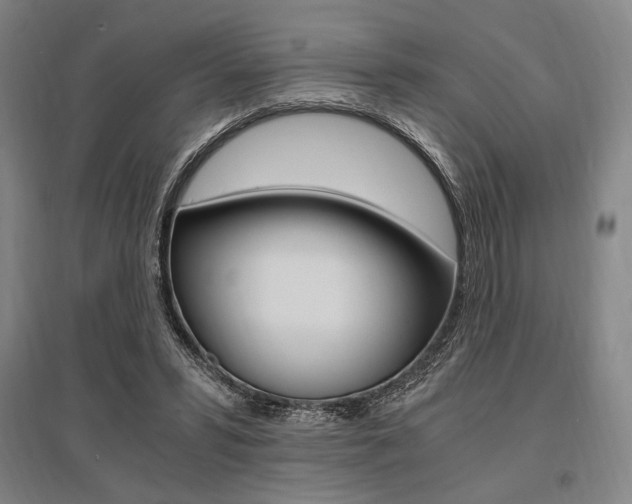 X0000095540399200712141028