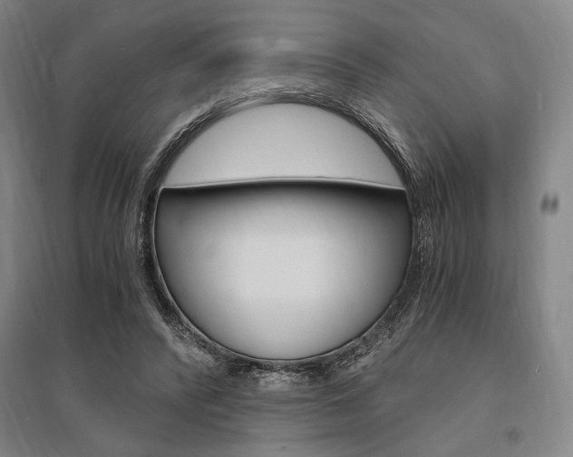 X0000095540400200712141028