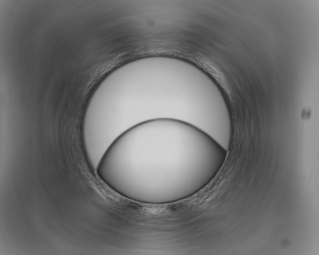 X0000095540401200712141028