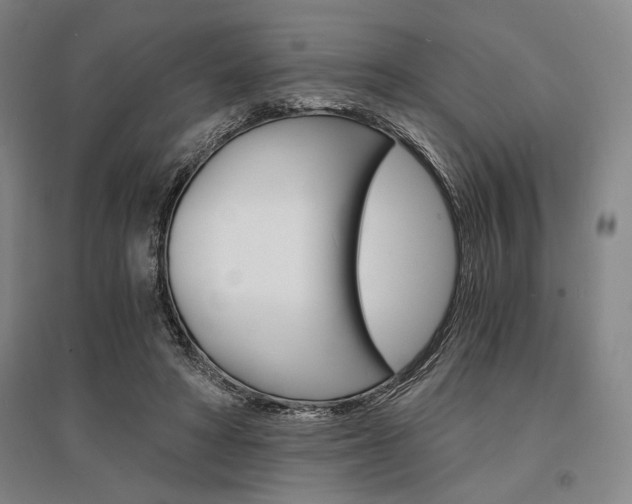 X0000095540402200712141028