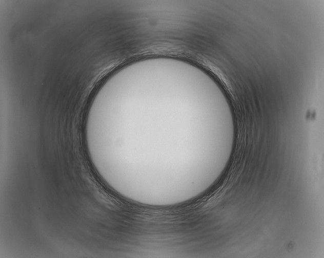 X0000095540403200712141028