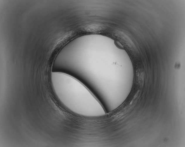 X0000095540404200712141028
