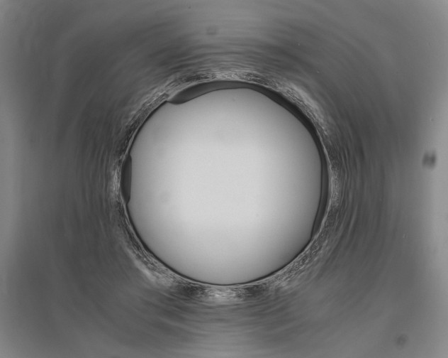 X0000095540405200712141028