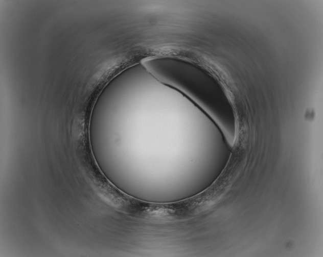 X0000095540407200712141028