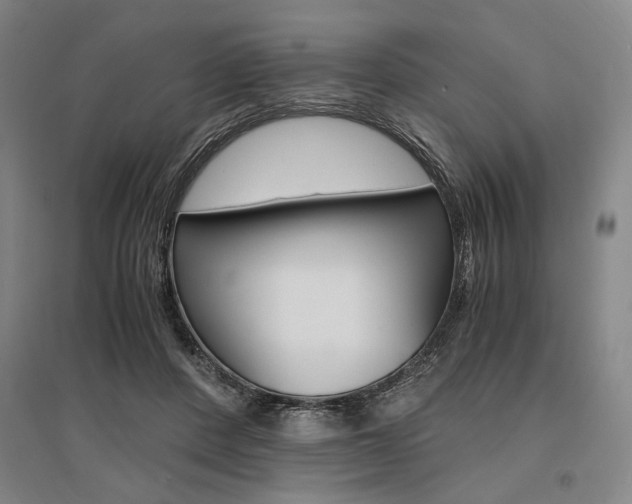 X0000095540408200712141028