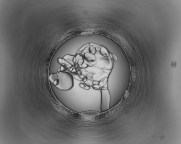 X0000095540409200712141028