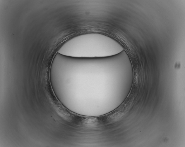 X0000095540410200712141028