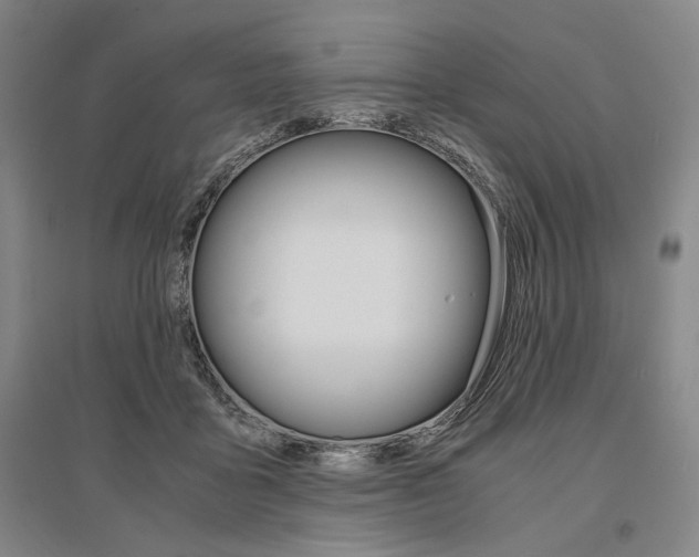 X0000095540411200712141028