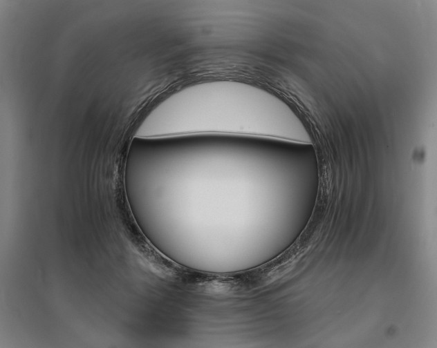 X0000095540412200712141028