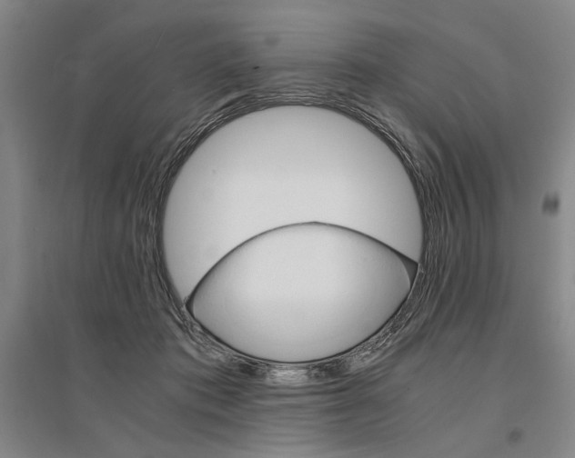 X0000095540413200712141028