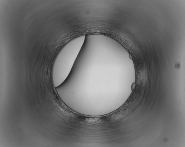 X0000095540414200712141028