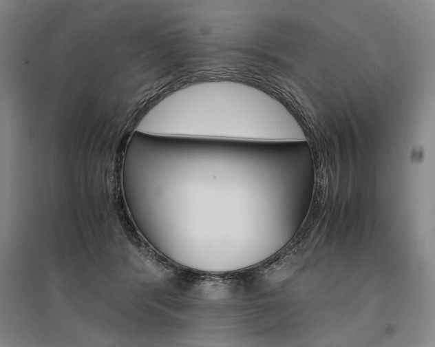 X0000095540416200712141028