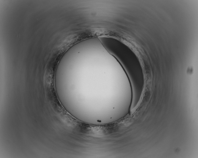 X0000095540417200712141028