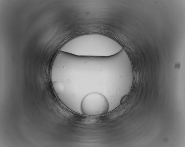 X0000095540418200712141028