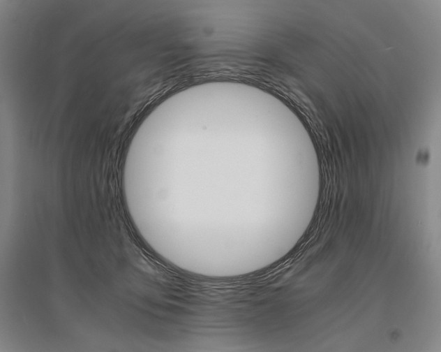 X0000095540419200712141028