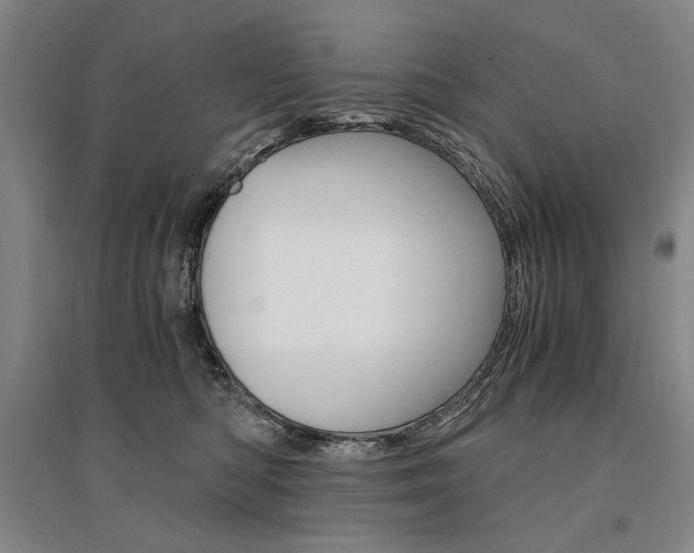 X0000095540422200712141028