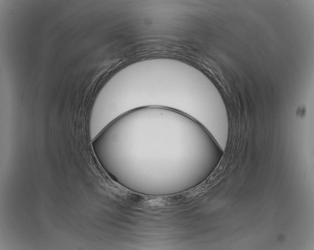 X0000095540423200712141028