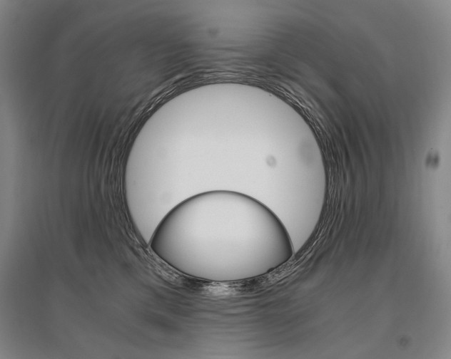 X0000095540425200712141028