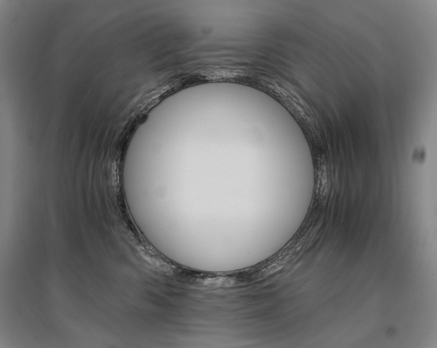 X0000095540426200712141028