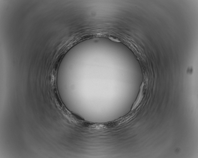 X0000095540427200712141028