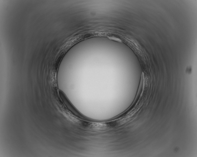 X0000095540429200712141028