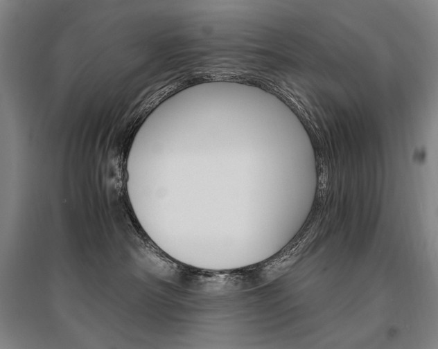 X0000095540430200712141028