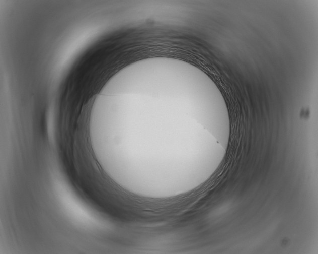 X0000095540431200712141028