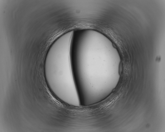 X0000095540433200712141027